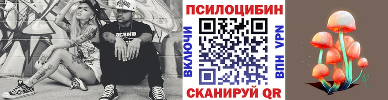 Псилоцибиновые грибы Psilocybine cubensis  omg сайт  Тамбов 